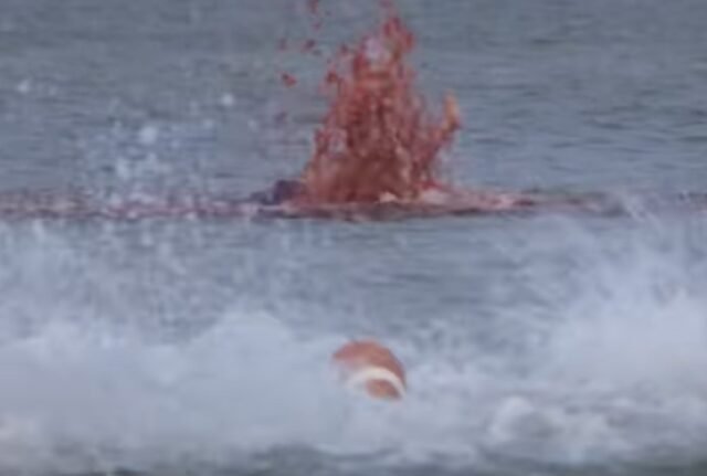 spray of blood and viscera rising out of water with flailing young boy's limbs visible within