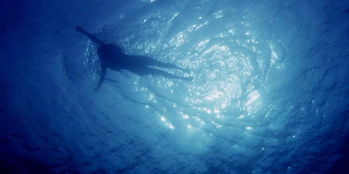 silhouette of woman swimming, as seen from underwater, aka a shark's perspective