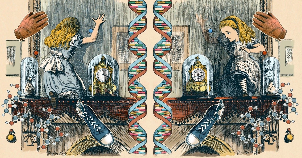 How the Universe and Its Reflection Are Totally Different, Dude